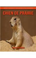 Chien de Prairie