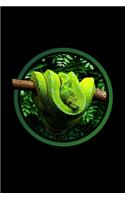 Green Tree Python Notebook