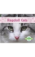 Ragdoll Cats