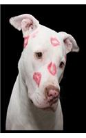 Geküsster Pitbull Notizbuch