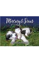 Mercury & Sirius