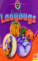 Ladybugs: (Exploring Life Cycles)