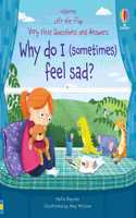 Very First Questions & Answers: Why do I (sometimes) feel sad?: (Very First Questions and Answers)