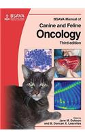 BSAVA Manual of Canine and Feline Oncology
