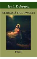 Se Roag Fiul Omului