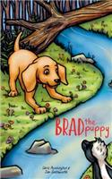 Brad the Puppy: A New Adventure