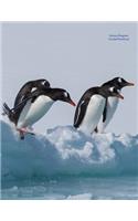 Gentoo Penguins Unruled Notebook: Unruled, Blank Notebook. No Lines. No Page Numbers. Glossy Cover with Image on Front and Back. Full Size at 8.5 X 11 Inches. Great for Artwork or Jo