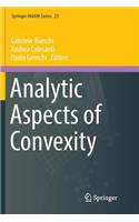 Analytic Aspects of Convexity