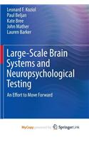 Large-Scale Brain Systems and Neuropsychological Testing