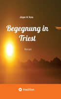 Begegnung in Triest - Ein spannender Politthriller