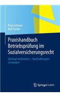 Praxishandbuch Betriebsprufung Im Sozialversicherungsrecht: Optimal Vorbereiten - Nachzahlungen Vermeiden