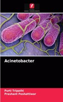 Acinetobacter