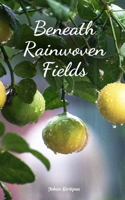 Beneath Rainwoven Fields