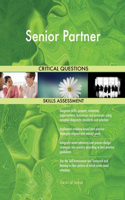 Senior Partner Critical Questions Skills Assessment