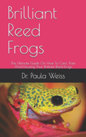 Brilliant Reed Frogs