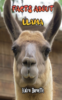 Facts about Llama: LLAMA fact for girl age 1-10 LLAMA fact for boy age 1-10 facts about all about LLAMA