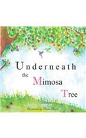 Underneath the Mimosa Tree