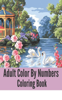 Adult Color By Numbers Coloring Book