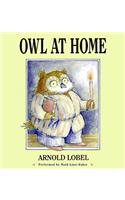 Owl at Home