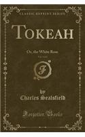Tokeah, Vol. 1 of 2: Or, the White Rose (Classic Reprint)