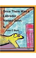 Once There Was a Labrador Named John.