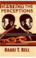 Destroy The Perceptions