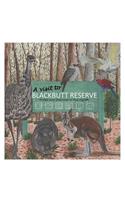 A visit to Blackbutt Reserve