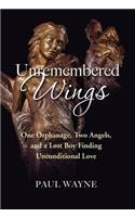 Unremembered Wings