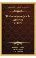 Immigrant Jew In America (1907)