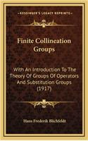 Finite Collineation Groups