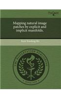 Mapping Natural Image Patches by Explicit and Implicit Manifolds