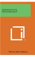 Aeronautical Meteorology