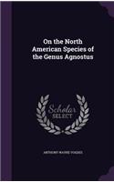 On the North American Species of the Genus Agnostus