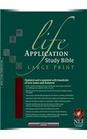 NLT Life Application Study Bible Large Print, Indexed