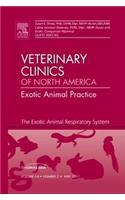 Exotic Animal Respiratory System Medicine, an Issue of Veterinary Clinics: Exotic Animal Practice