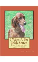 I Want A Pet Irish Setter: Fun Learning Activities(English)
