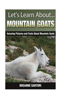 Mountain Goats: Amazing Pictures and Facts about Mountain Goats