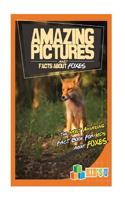 Amazing Pictures and Facts about Foxes: The Most Amazing Fact Book for Kids about Foxes