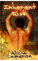 Inherent Risk
