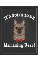 It's Going To Be Llamazing Year: Cute Alpaca Gifts Llama Llama Books for Kids Gratitude Kids Journal Write & Draw Children Diary