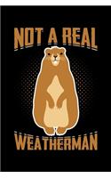 Not A Real Weatherman