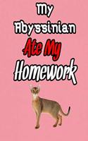 my Abyssinian ate my homework