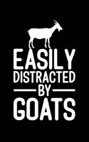 Easily Distracted By Goats