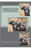Delineations of the Ox Tribe The Natural History of Bulls, Bisons, and Buffaloes