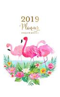 2019 Planner Weekly & Monthly: Hot Pink Flamingo Tropical Agenda Book, 2019 Splendid Planner