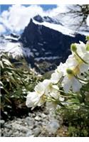 Flowers and Mountains at Milford Sound, New Zealand Journal