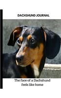 Dachshund Journal