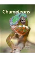 Chameleons
