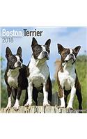 Boston Terrier Calendar 2018