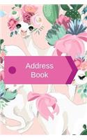 Address Book